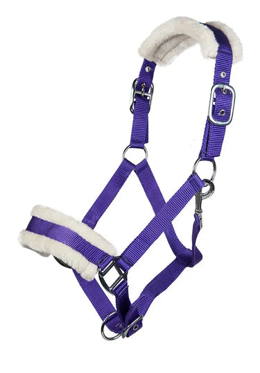 HKM Head Collar Bischofshofen with Plush Padding| Online For Equine