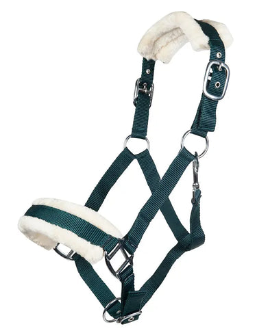 HKM Head Collar Bischofshofen with Plush Padding| Online For Equine