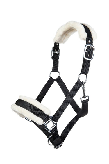 HKM Head Collar Bischofshofen with Plush Padding| Online For Equine