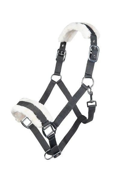HKM Head Collar Bischofshofen with Plush Padding| Online For Equine