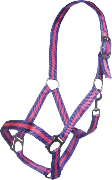 HKM Head Collar Budapest| Online For Equine