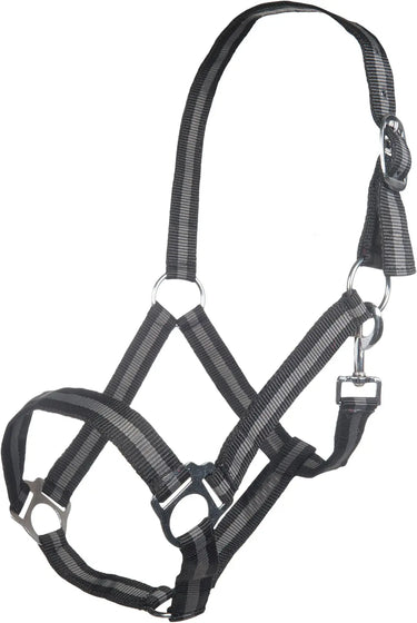 HKM Head Collar Budapest| Online For Equine