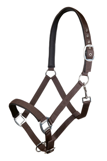 HKM Head Collar Charming with Soft Padding| Online For Equine