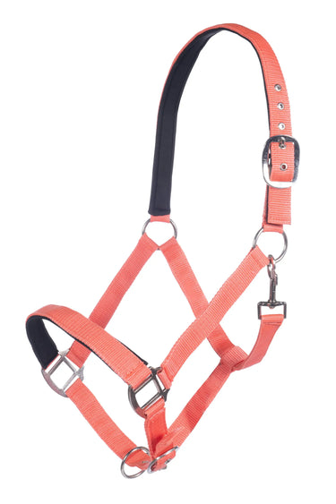 HKM Head Collar Charming with Soft Padding| Online For Equine