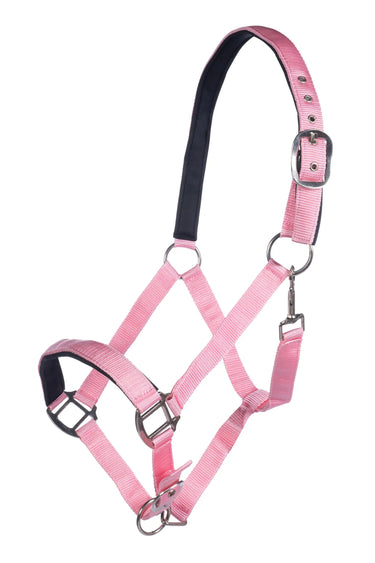 HKM Head Collar Charming with Soft Padding| Online For Equine