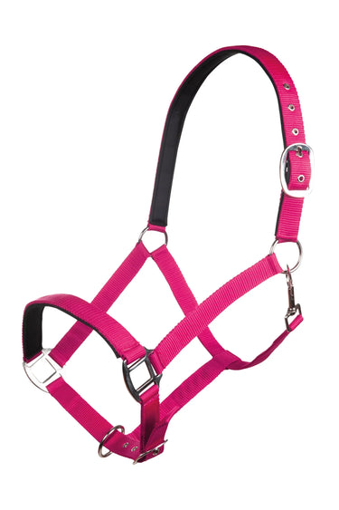 HKM Head Collar Charming with Soft Padding| Online For Equine