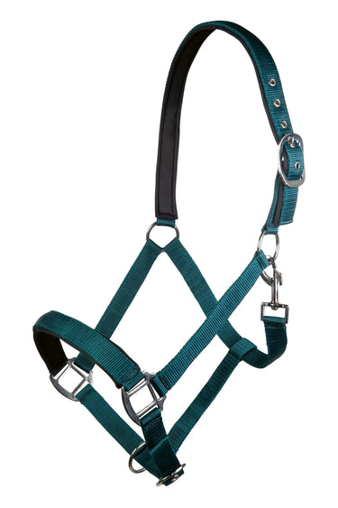 HKM Head Collar Charming with Soft Padding| Online For Equine