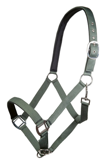 HKM Head Collar Charming with Soft Padding| Online For Equine
