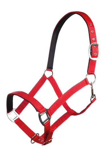 HKM Head Collar Charming with Soft Padding| Online For Equine