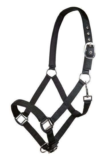 HKM Head Collar Charming with Soft Padding| Online For Equine