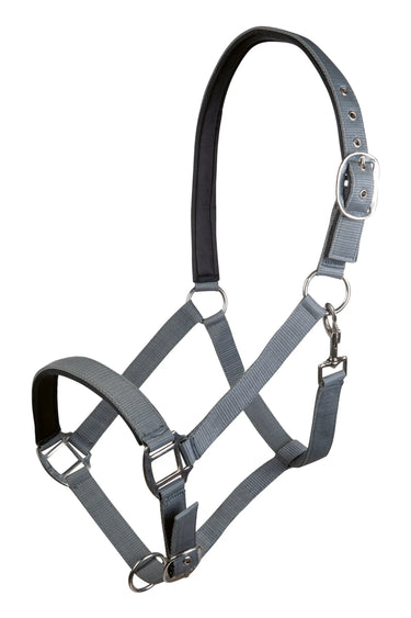 HKM Head Collar Charming with Soft Padding| Online For Equine