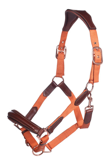 HKM Head Collar Edinburgh| Online For Equine
