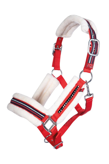 HKM Head Collar Equine Sports Style| Online For Equine