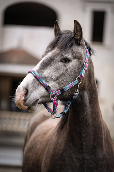 HKM Head Collar Manchester| Online For Equine