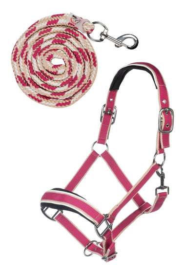 HKM Head Collar Set with Snap Hook Kopenhagen| Online For Equine