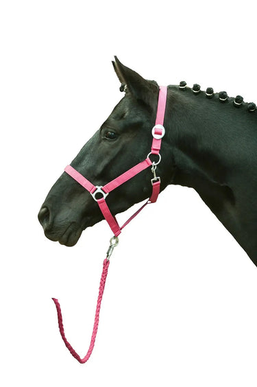 HKM Head Collar Stars Economy Softice| Online For Equine