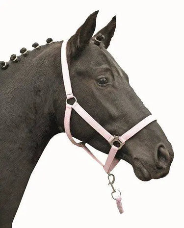 HKM Head Collar Stars Economy Softice| Online For Equine