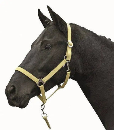 HKM Head Collar Stars Economy Softice| Online For Equine