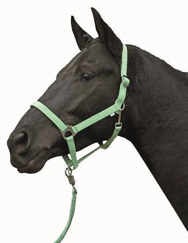 HKM Head Collar Stars Economy Softice| Online For Equine