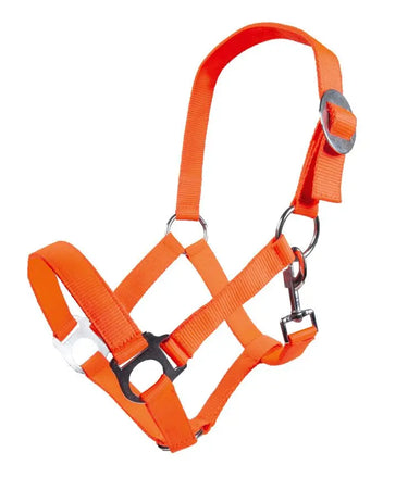 HKM Head Collar Stars Economy Softice| Online For Equine