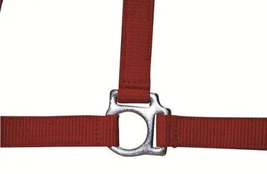 HKM Head Collar Stars Economy| Online For Equine