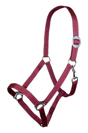 HKM Head Collar Stars Economy| Online For Equine