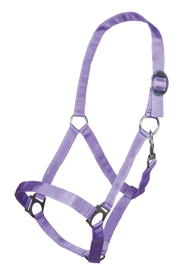 HKM Head Collar Stars Economy| Online For Equine