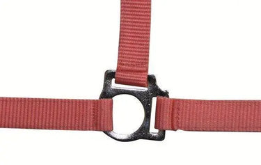 HKM Head Collar Stars Economy| Online For Equine