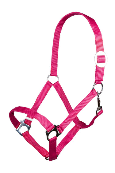 HKM Head Collar Stars Economy| Online For Equine