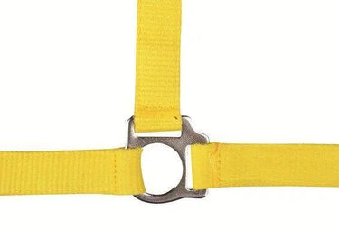 HKM Head Collar Stars Economy| Online For Equine
