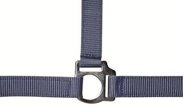 HKM Head Collar Stars Economy| Online For Equine