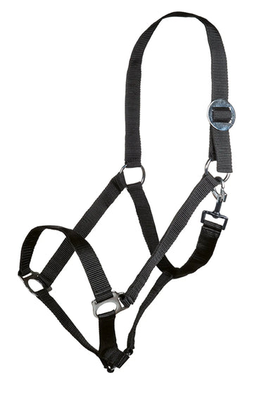 HKM Head Collar Stars Economy| Online For Equine