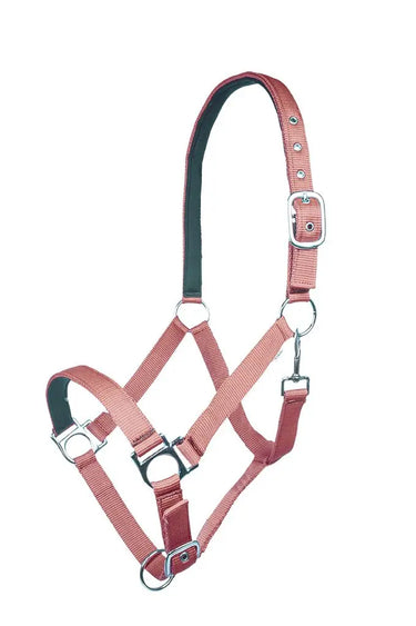 HKM Head Collar Stars Softice with Soft Padding| Online For Equine