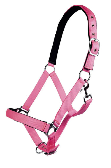 HKM Head Collar Stars Softice with Soft Padding| Online For Equine