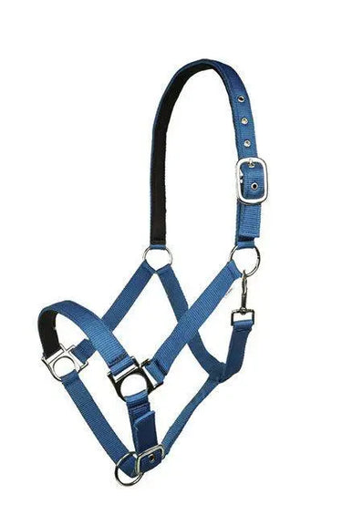 HKM Head Collar Stars Softice with Soft Padding| Online For Equine