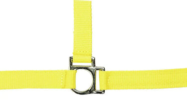 HKM Head Collar Stars Softice with Soft Padding| Online For Equine