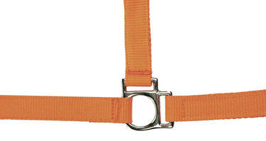 HKM Head Collar Stars Softice with Soft Padding| Online For Equine