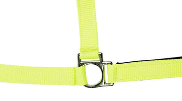 HKM Head Collar Stars Softice with Soft Padding| Online For Equine