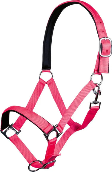 HKM Head Collar Stars Softice with Soft Padding| Online For Equine