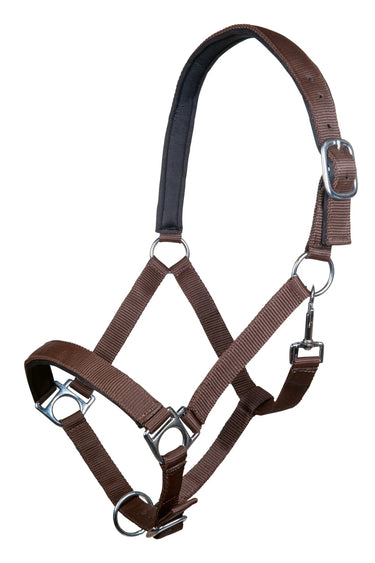 HKM Head Collar Stars with Soft Padding| Online For Equine