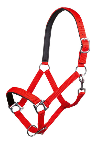 HKM Head Collar Stars with Soft Padding| Online For Equine