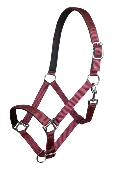 HKM Head Collar Stars with Soft Padding| Online For Equine