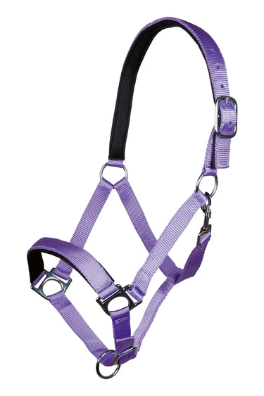 HKM Head Collar Stars with Soft Padding| Online For Equine