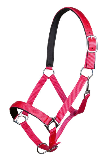 HKM Head Collar Stars with Soft Padding| Online For Equine