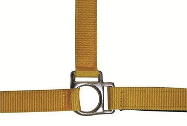 HKM Head Collar Stars with Soft Padding| Online For Equine