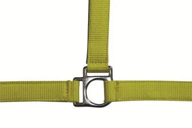 HKM Head Collar Stars with Soft Padding| Online For Equine