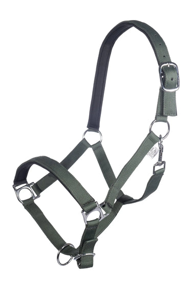 HKM Head Collar Stars with Soft Padding| Online For Equine
