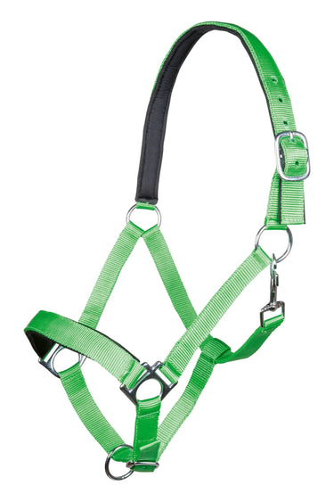 HKM Head Collar Stars with Soft Padding| Online For Equine