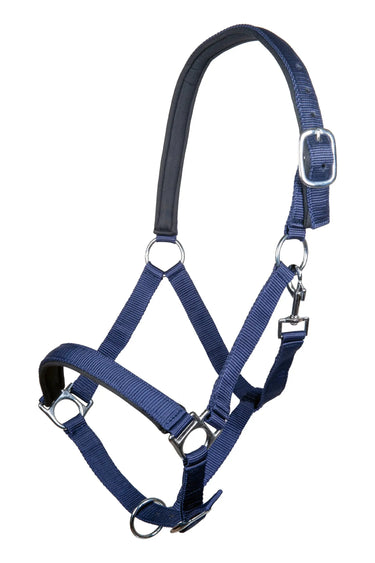 HKM Head Collar Stars with Soft Padding| Online For Equine