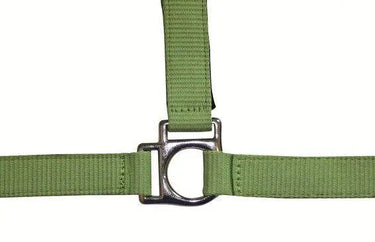 HKM Head Collar Stars with Soft Padding| Online For Equine